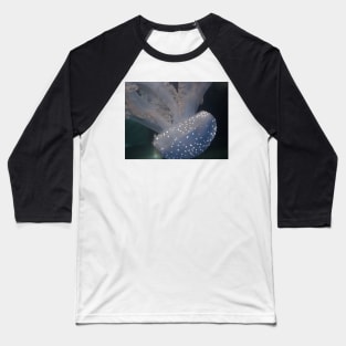 Speckled Jellyfish Photo Print And Others Baseball T-Shirt